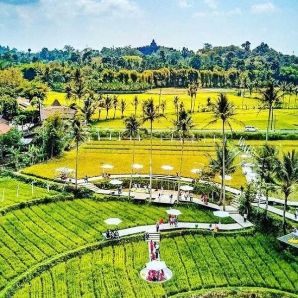 paket liburan murah ke jogja